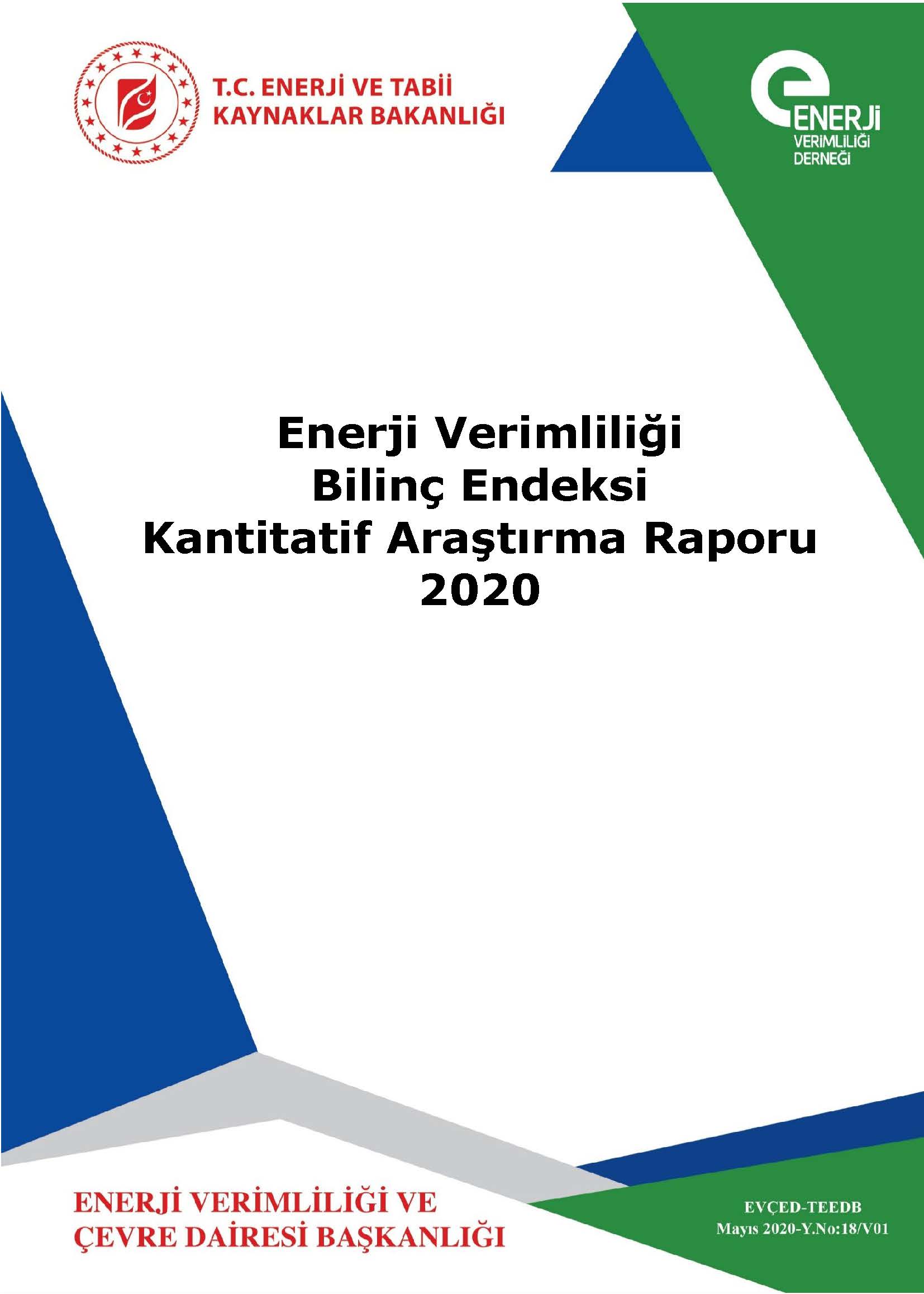 Biliç endeksi kantitatif araştırma raporu 2020