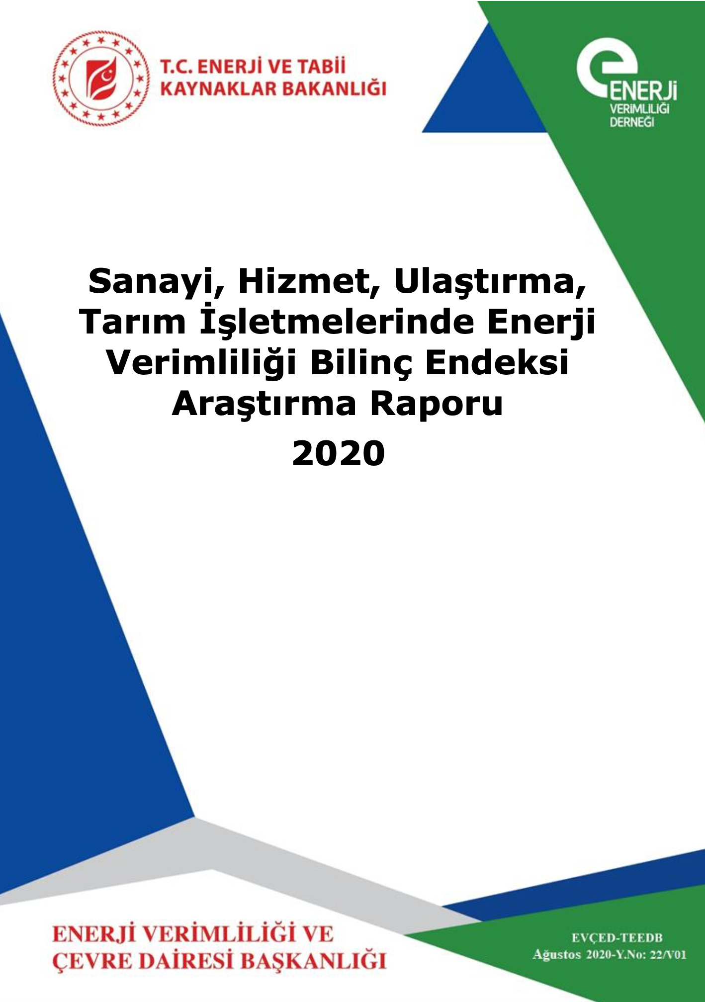 Biliç endeksi kantitatif araştırma raporu 2020